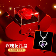 建祿永恒之心項(xiàng)鏈女輕奢氣質(zhì)莫桑石純銀項(xiàng)鏈生日禮物送女朋友 永恒之心銀項(xiàng)鏈（證書(shū)+禮盒裝）