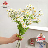 愛已裝糖 假花仿真花 絹花花束客廳辦公室餐桌裝飾插花塑料花 可可菊2支