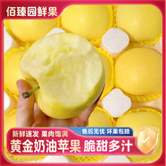 煙臺(tái)黃金奶油富士蘋果新鮮水果當(dāng)季棲霞冰糖心蘋果脆甜孕婦整箱 3斤丨4-6個(gè)丨大果80-85mm丨含箱