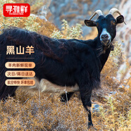 尋灘鮮寧夏灘羊肉 新鮮黑山羊32斤 全羊整只 清真 年貨禮盒 源頭直發(fā)