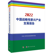 2022中國戰(zhàn)略性新興產(chǎn)業(yè)發(fā)展報告