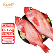 賣(mài)魚(yú)七郎紅石斑魚(yú)凈重3.2斤-3.4斤共2條海捕鮮活冷凍大眼魚(yú)整條富貴魚(yú)魚(yú)類(lèi)