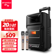 山水（SANSUI） 廣場(chǎng)舞拉桿音響便攜式手提戶(hù)外移動(dòng)藍牙8英寸音箱大功率低音炮地攤音響A8-66 8寸重低音【20小時(shí)】+雙話(huà)筒