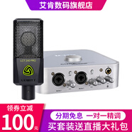 萊維特（LEWITT） LCT240PRO電容麥克風(fēng)手機(jī)電腦直播主播網(wǎng)絡(luò)K歌喊麥聲卡套裝話筒 麥克風(fēng)+艾肯4nano【需接電腦】