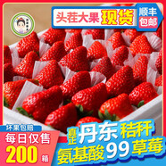 胖東來丹東草莓東北馬家崗秸稈99奶油新鮮紅顏大孕婦九九牛奶草莓禮盒 1000g 【精選】頭茬特大果 (單果35-44g