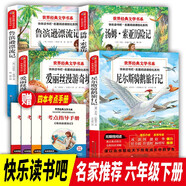 快樂讀書吧六年級(jí)下冊(cè)（全4冊(cè)）送4本考點(diǎn)魯濱孫漂流記愛麗絲漫游奇境尼爾斯騎鵝旅行記湯姆·索亞歷險(xiǎn)記