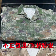新款迷彩服夏季軍訓(xùn)服戶外服裝裝服飾工作服耐磨耐穿男士男裝 新款點(diǎn)夏(上衣+褲子) 170/92-96