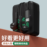 Sibyl耳機(jī)有線半入耳式3.5圓孔type-c電腦手機(jī)游戲音樂(lè)降噪線控帶麥語(yǔ)音通話適用華為蘋(píng)果vivo小米o(hù)ppo 騎士黑 Type-C扁口【無(wú)損音質(zhì)丨數(shù)字芯片】