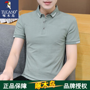 啄木鳥(niǎo)官方品牌短袖T恤男夏季POLO中青年上衣服休閑翻領(lǐng)舒適體恤上衣 A347-T153淺綠 L (115斤-130斤)