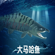 林暢模玩兒童海洋動物玩具實心仿真深海魚模型鋸鰩刺魟蝠鲼箱鲀認知生物 大馬哈魚