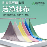 翰洋潔凈（HANYANGCLEAN）無塵抹布5條裝 不掉毛吸水毛巾 藥廠GMP潔凈區(qū)專用無毛抹布 30*30cm雙層 藍色