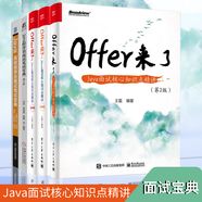 Offer來(lái)了 Java面試核心知識(shí)點(diǎn)精講 第2版  + 原理篇 +框架篇+java程序員面試筆試寶典+java程序員面試筆試寶典第2版  java題庫(kù) 編程語(yǔ)言與程序設(shè)計(jì)