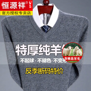 恒源祥100%純羊毛絨衫男士秋冬季款V領(lǐng)純色針織衫中老年人套頭毛衣男裝 V 領(lǐng)灰色-純全新100 L 175/92A 建議140-155斤