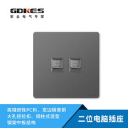 粵奇勝廣東86型暗裝星際灰2.0T肖邦系列五孔墻壁面板開(kāi)關(guān)插座 二位電腦插座