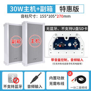 先科（SAST）戶外無線藍牙防水音柱室外掛墻有源音箱超市壁掛音響 30W主箱+副箱(音頻線版)