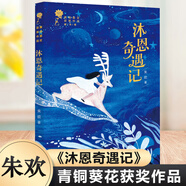 沐恩奇遇記/青銅葵花獲獎作品