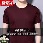恒源祥2025夏季短袖t恤男桑蠶絲圓領(lǐng)半截袖中年體恤真絲純色衣服 酒紅色 4XL 190建議190至205斤