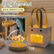 曇蓓漫郁金香小夜燈diy手工制作花束氛圍燈七夕情人節送女朋友生日禮物 【USB插電款】DIY郁金香材料包 【13朵粉色+精美禮袋】