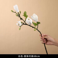 花藝赫家飾（HUA YI HE JIA SHI）高檔PU手感新中式含苞玉蘭花仿真花客廳餐桌裝飾假花擺件擺設(shè)插花 手感含苞玉蘭花 白色【2支】