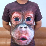 管晨八塊腹肌緊身衣服男T恤3d性感短袖修身創(chuàng  )意惡搞圖案衣服 深棕色 短T 大猩猩 S