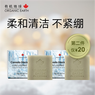 有機地球（organicearth）冰川皂夏日冰爽皂薄荷精油冷法手工皂潔膚潔面沐浴香皂 冰川皂90g*2