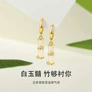KASIYU  2025新款竹節(jié)耳環(huán)女夏耳扣耳釘秋冬感高級感耳墜 耳環(huán)
