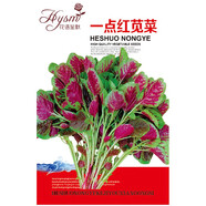 花語(yǔ)笙默四季播種蔬菜種子家庭種菜盆栽田園地栽菜種易種植易生長(cháng)瓜果菜籽 紅莧菜種子（約3000粒） 原廠(chǎng)封裝1袋