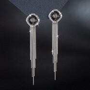 Qlady水晶流蘇耳環(huán)女2024年新款耳釘女氣質(zhì)高級感時(shí)尚氣質(zhì)銀針耳飾禮物 時(shí)尚黑(水晶流蘇款)