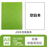 前通（front） front前通A5軟面空白方格本手賬學(xué)生簡(jiǎn)約記事本加厚日記商本DV69T萊尼紋款 DV69T-A501K-空白綠色
