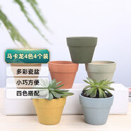 萌優(yōu)優(yōu) 馬卡龍多肉花盆 個(gè)性簡約陶瓷盆創(chuàng)意組合花盆不含綠植 4色4個(gè)裝