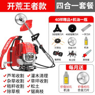 達(dá)瓦（DAWA）德國動(dòng)力技術(shù)割草機(jī)除草機(jī)打草機(jī)四沖程汽油機(jī)水稻收割機(jī)電動(dòng)農(nóng)具 背負(fù)式（割草+除草+松土+高枝鋸