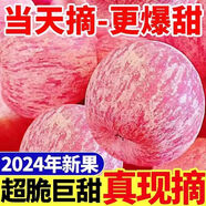 正宗陜西洛川蘋果現(xiàn)摘新鮮水果紅富士當(dāng)季整箱禮盒冰糖心脆甜蘋果 4.5斤中果(果徑75mm+)