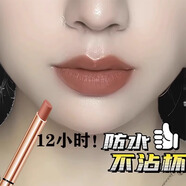 蘭奕小金管不沾杯口紅防水不掉色肉桂奶茶色霧面啞光滋潤素顏鎖色細管 兩支優(yōu)惠裝下單留言色號