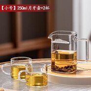 日本進(jìn)口品質(zhì)玻璃茶壺月牙過濾綠茶泡茶器茶水分離公道杯功夫茶具 月牙壺+2杯100ml 250ml 301mL(含)-400mL(含)