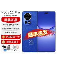 华为 nova 12 Pro 前置6000万人像追焦双摄 鸿蒙智慧通信智能手机 12号色 12GB+256GB