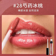 雅蔻（ARTDECO）德國(guó)雅蔻唇蜜唇釉熱辣豐唇蜜潤(rùn)唇膏唇釉6ml  天使之吻 絲霧唇釉 雅蔻琉璃水光唇釉 #28芍藥冰桃