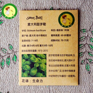 甜羅勒種子 Sweet Basil 辛香料種子 春季香草蔬菜植物