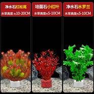 瘋狂水草（FKSC）真水草魚(yú)缸造景套餐凈化水質(zhì)懶人魚(yú)缸水草植物直接入缸蜈蚣草 【凈水石】紅松尾+水羅蘭+小紅葉