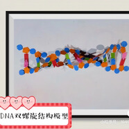 生物動植物真核細胞模型初高中手工材料包成品DNA DNA雙螺旋結構模型成品