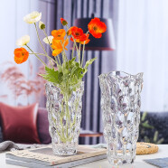 奇敬 北欧轻奢水晶玻璃花瓶波西米亚风花瓶玫瑰百合插花瓶客厅花瓶 波西米亚【大号高29.5cm】透明色 单个玻璃花瓶（不含花）