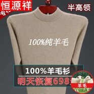 恒源祥純羊毛絨衫冬季市男100純羊 毛毛衣加 厚大碼中老年人保暖上衣 8800半高 領駝色 175/XL(建議140-155斤)