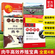 養(yǎng)牛套裝4冊全 養(yǎng)牛技術書籍大全牛病類癥鑒別與診治肉牛養(yǎng)殖技術書黃牛診療與處方手冊牛飼料配方書科學養(yǎng)牛西門塔爾牛養(yǎng)殖技術書