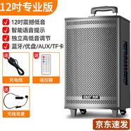 先科（SAST）廣場(chǎng)舞藍(lán)牙戶外拉桿音響大功率木質(zhì)音箱大音量帶無線話筒家用k歌 12吋音箱+單耳麥