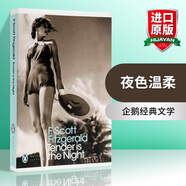 Tender is the Night A Romance  英文原版小說(shuō) 夜色溫柔 企鵝現(xiàn)代經(jīng)典文學(xué) Penguin Classics 英文版 進(jìn)口原版英語(yǔ)書(shū)籍