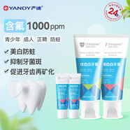 嚴(yán)迪正畸含氟牙膏 高氟防蛀青少年成人牙齒美白去黃去漬牙齒矯正適用 含氟牙膏薄荷味（110g*2+20g*2）