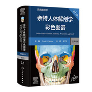 【系解版】奈特人體解剖學(xué)彩色圖譜：系統(tǒng)解剖學(xué)（第8版）全新版本 英漢雙語 人民衛(wèi)生出版社