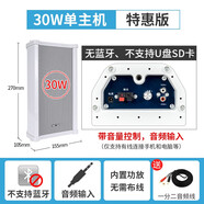 先科（SAST）戶外無線藍牙防水音柱室外掛墻有源音箱超市壁掛音響 30W主箱(音頻線版)