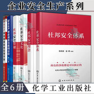 6本 杜邦安全體系+杜邦安全理念+杜邦安全文化+杜邦安全管理+安全生產(chǎn)事故隱患排查實用手冊生產(chǎn)事故調(diào)查與案例分析預(yù)防防范書籍 安全生產(chǎn)事故隱患排查要點 化工現(xiàn)場安全要點 化工操作安全要點 危險作業(yè)安