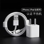 原奘 適用蘋(píng)果ipad充電器數據線(xiàn) mini5/air/2/3/4 iphone xs/xr/8p/6s/5s 7快充平板手機充電線(xiàn)12w 5w迷你充電器+1m充電線(xiàn)