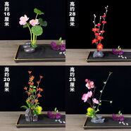 文手酒店意境菜品冷菜盤飾餐飲刺身擺盤裝飾花草高檔盤花壽司點(diǎn)綴花 M組合六[4個(gè)]